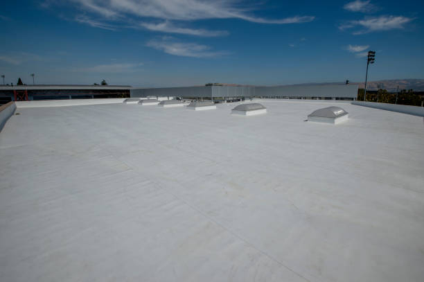 Best Skylight Installation and Repair  in Bethlehem, NC